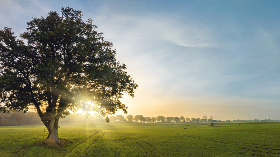 DN Deutsche Nachhaltigkeit AG bietet 10%-Anleihe mit starker Wirkung