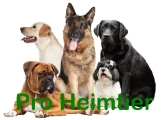 Logo Praxis für Tierpsychologie & Tierpension