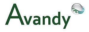 Logo Avandy GmbH
